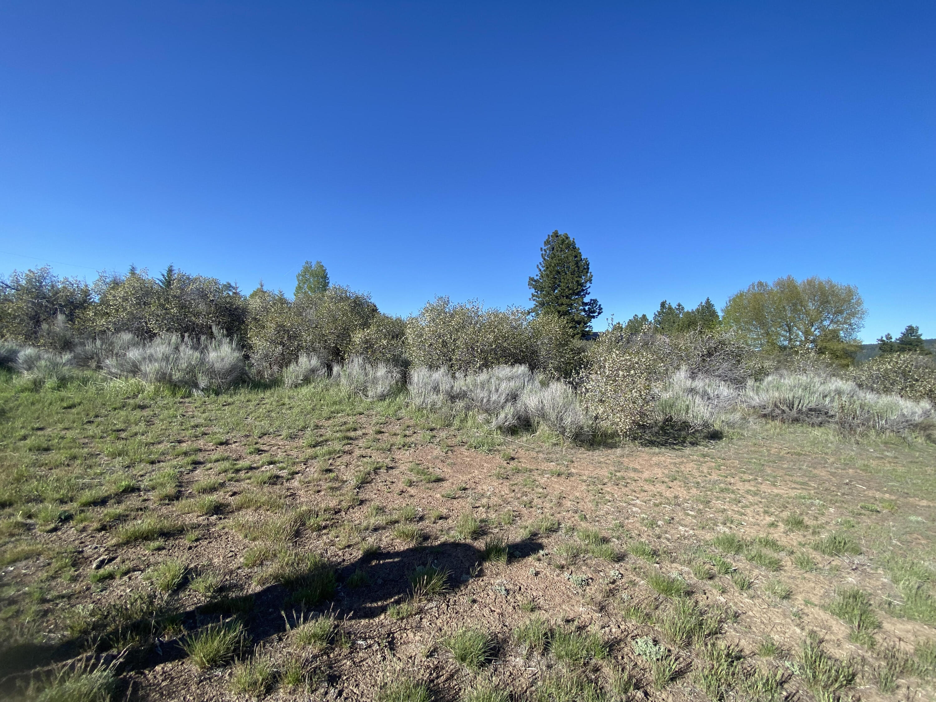 0 Meadowview Drive Chiloquin, OR 97624 - Photo 7 of 7 05