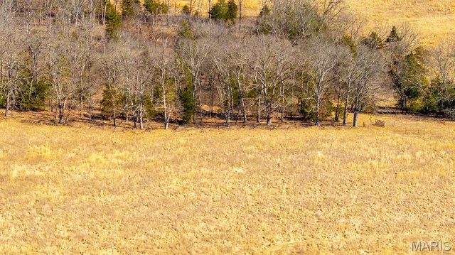 $232,629 | 0 Mo-19 (21.15 Ac), Owensville, MO 65066