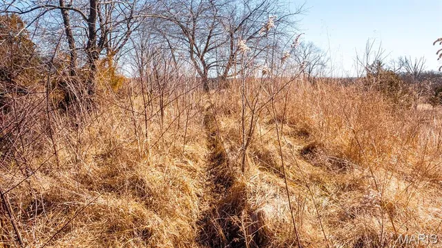 $232,629 | 0 Mo-19 (21.15 Ac), Owensville, MO 65066