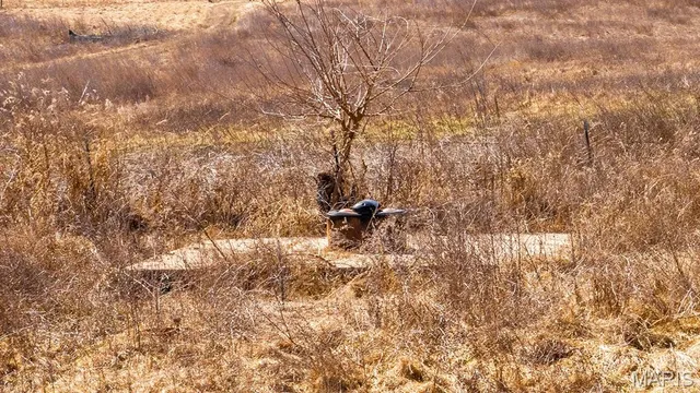 $232,629 | 0 Mo-19 (21.15 Ac), Owensville, MO 65066