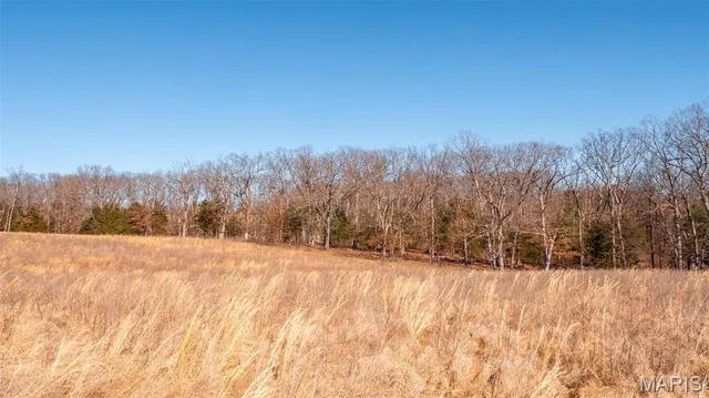 $232,629 | 0 Mo-19 (21.15 Ac), Owensville, MO 65066