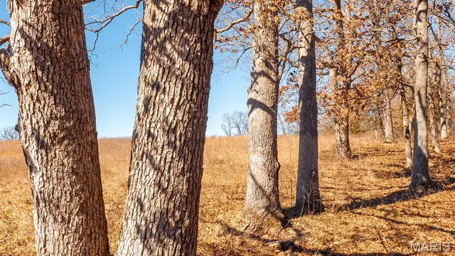 $232,629 | 0 Mo-19 (21.15 Ac), Owensville, MO 65066