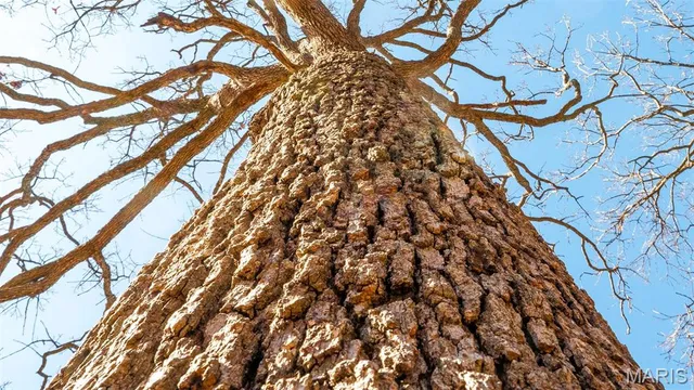 $232,629 | 0 Mo-19 (21.15 Ac), Owensville, MO 65066