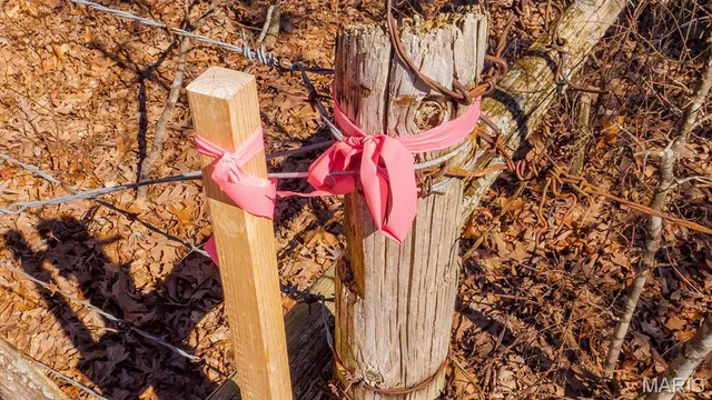 $232,629 | 0 Mo-19 (21.15 Ac), Owensville, MO 65066