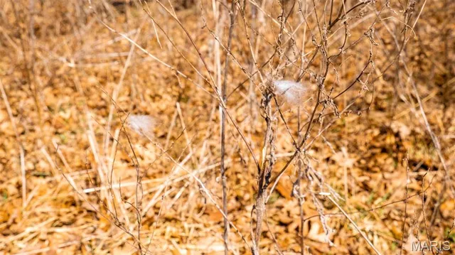 $232,629 | 0 Mo-19 (21.15 Ac), Owensville, MO 65066