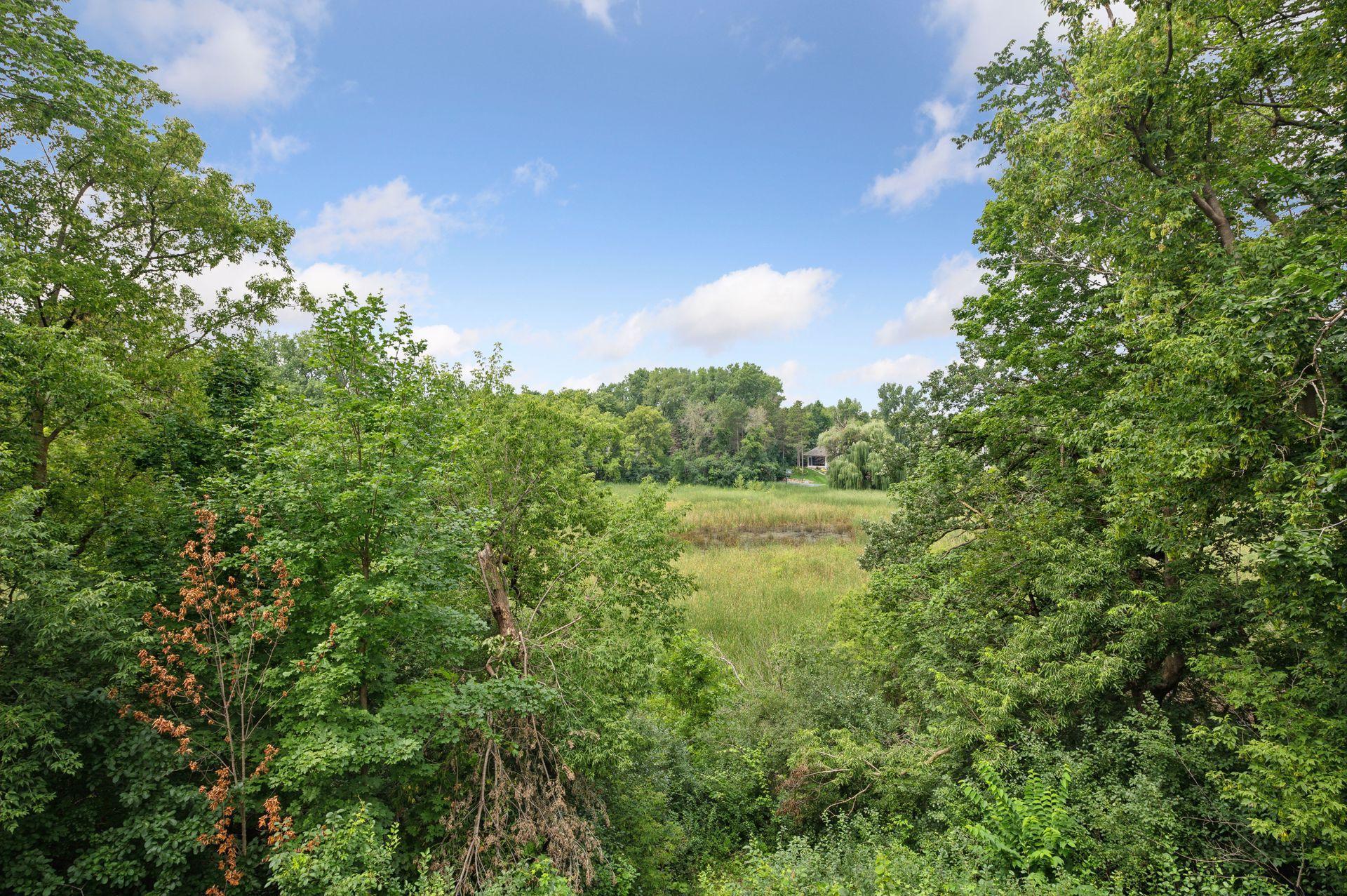 399 Ridgeview Drive Wayzata, MN 55391 - Photo 56 of 60