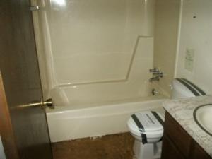 101 Blue Ridge Drive Canadensis, PA 18325 - Photo 6 of 8 Bathroom