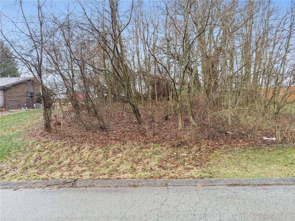 1810 Naser Road North Versailles, PA 15137 - Photo 8 of 14 a backyard of a house with lots of green space
