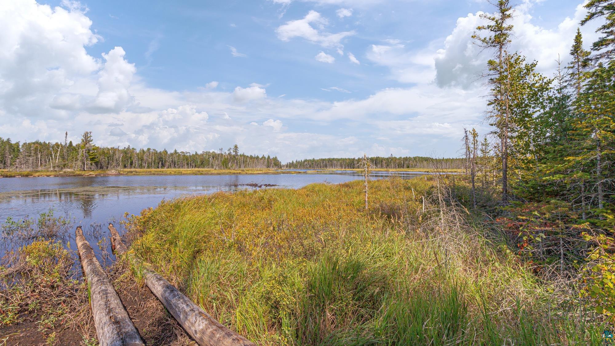 881 Kelly Trail Isabella, MN 55607 - Photo 47 of 49 Gallery Image 47