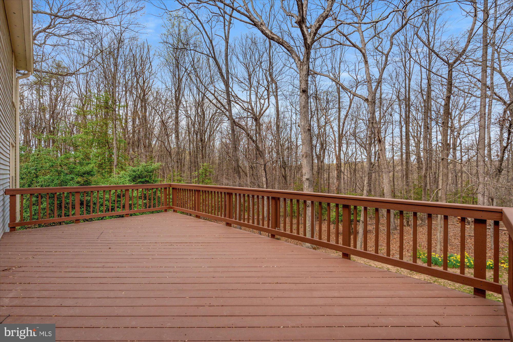 10415 Mt Sunapee Road Vienna, VA 22182 - Photo 44 of 53 Beautiful Private Views of Parkland/Trails