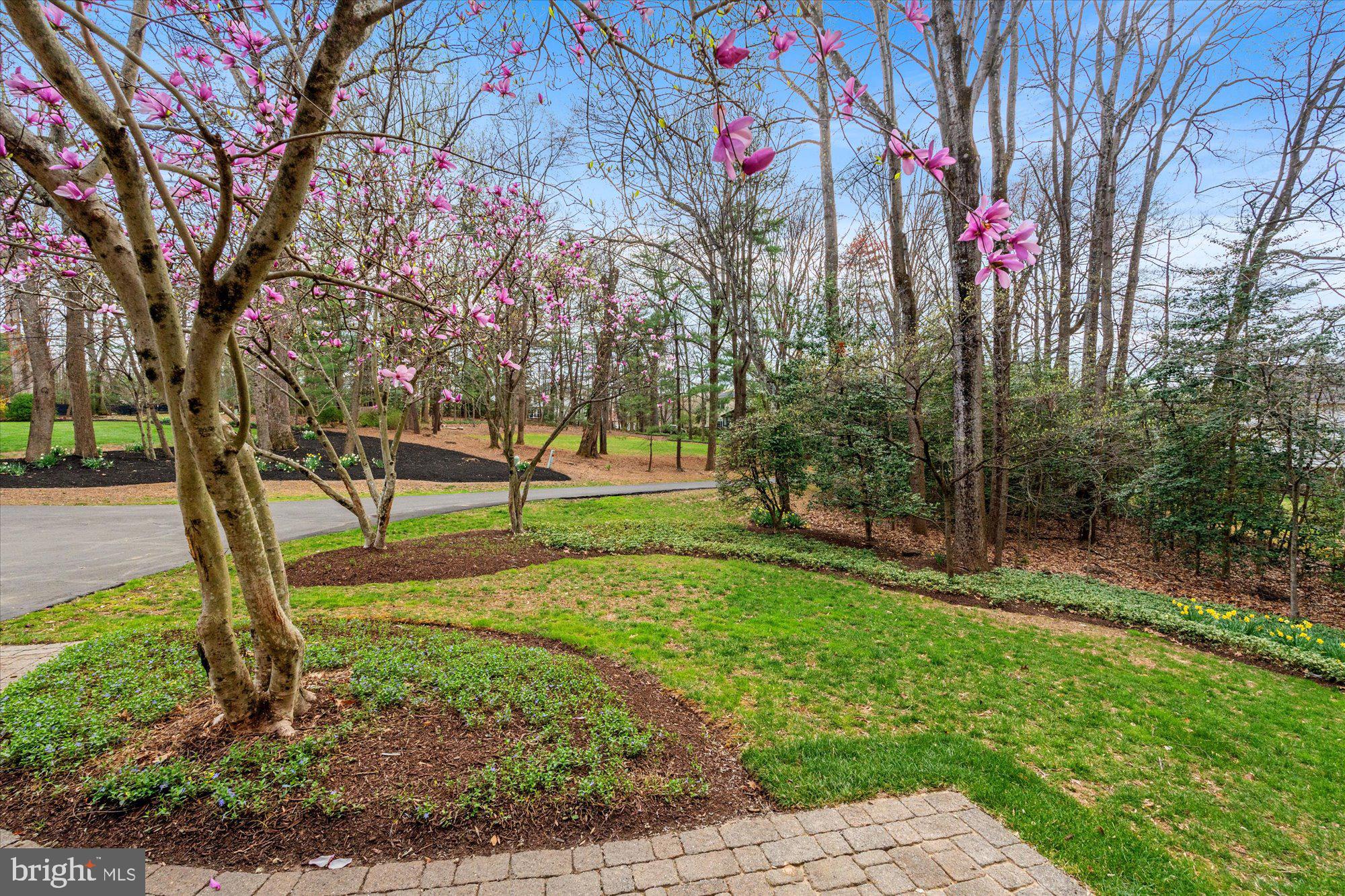 10415 Mt Sunapee Road Vienna, VA 22182 - Photo 6 of 53 View of Front Lawn