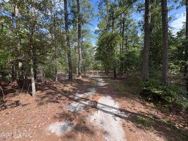 $100,000 | Tbd McKenzie Lane, Aberdeen, NC 28315