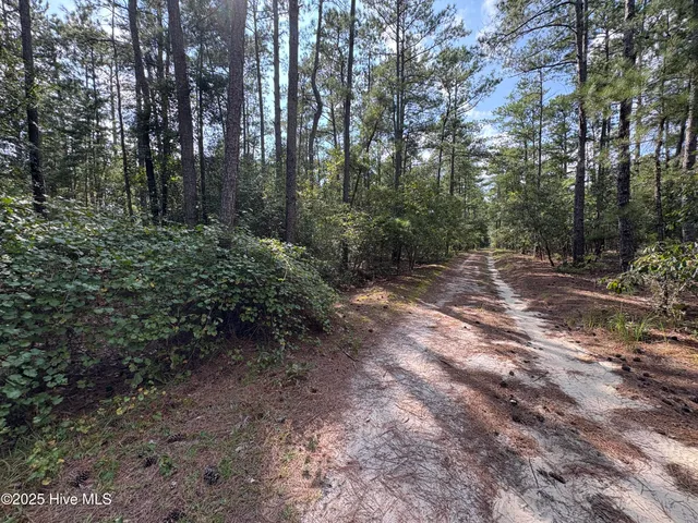 $100,000 | Tbd McKenzie Lane, Aberdeen, NC 28315