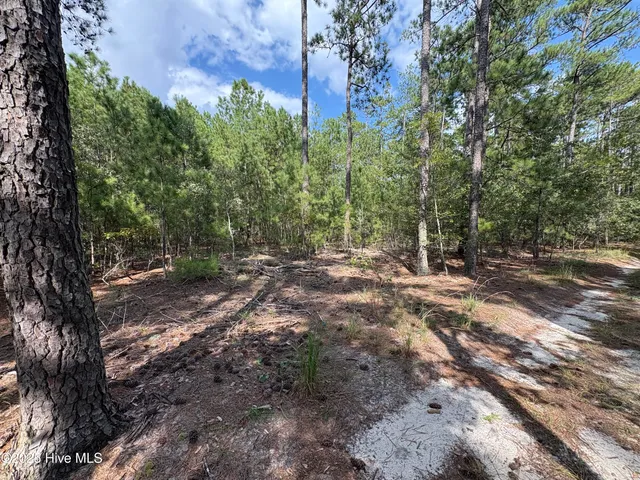 $100,000 | Tbd McKenzie Lane, Aberdeen, NC 28315