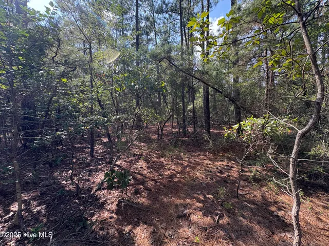 $100,000 | Tbd McKenzie Lane, Aberdeen, NC 28315