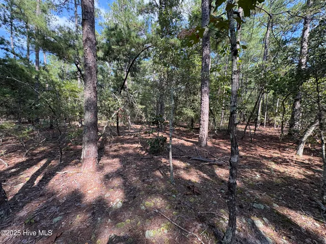 $100,000 | Tbd McKenzie Lane, Aberdeen, NC 28315