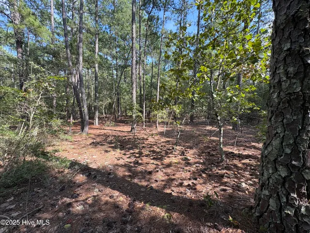 $100,000 | Tbd McKenzie Lane, Aberdeen, NC 28315