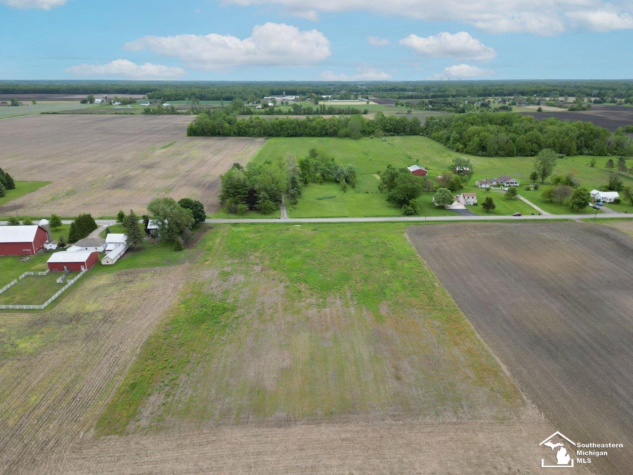 0 Steffas Road Maybee, MI 48159 - Photo 10 of 12