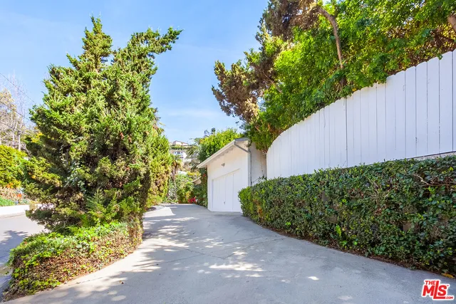 a view of a garden with plants and large trees