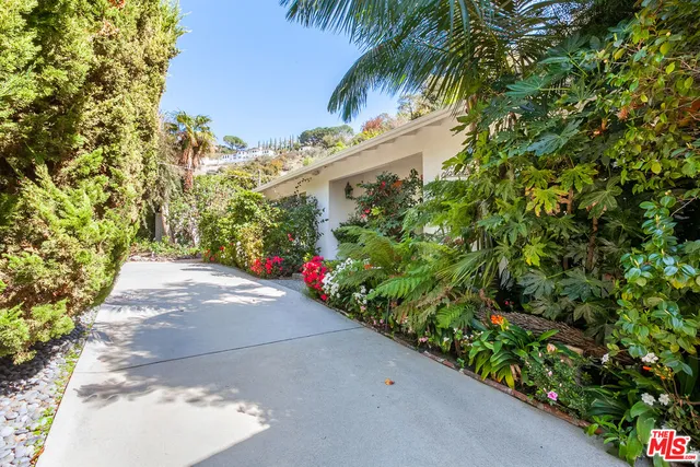 a view of a garden with plants