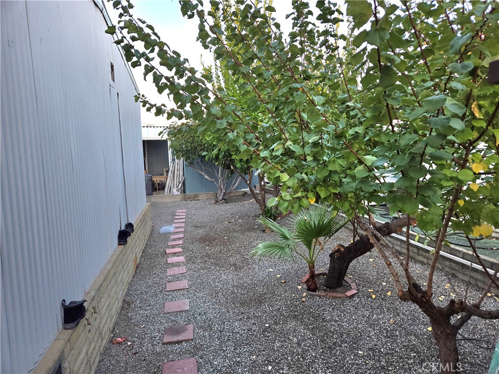 2230 Lake Park Drive, Unit 54 San Jacinto, CA 92583 - Photo 22 of 22 a view of a yard with plants and a tree
