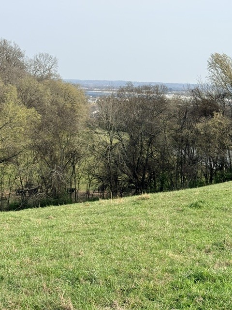 2200 Sugar Ridge Road Spring Hill, TN 37174 - Photo 9 of 9
