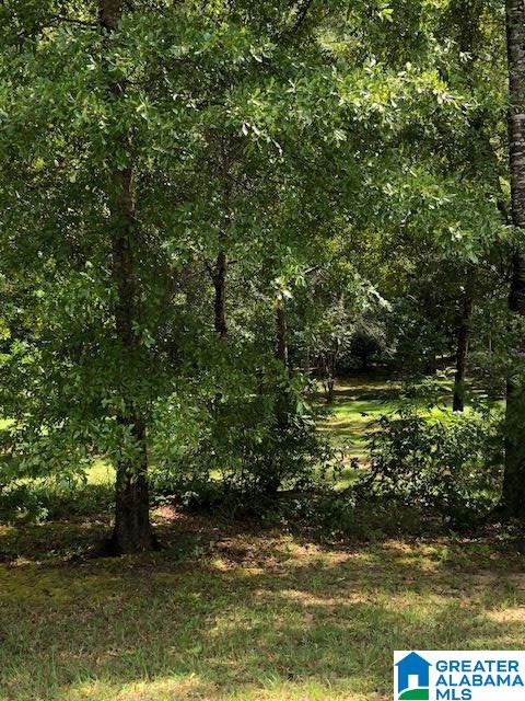 568 County Road 76 Clanton, AL 35045 - Photo 4 of 11