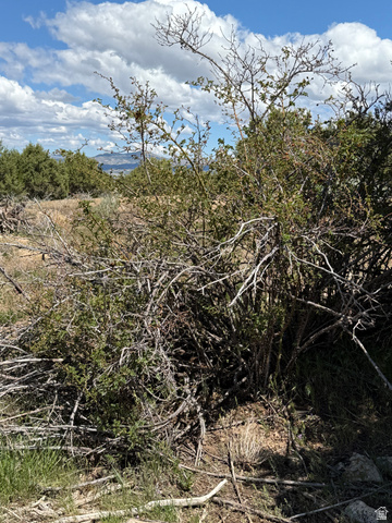 19 Old Highway 89, Unit 19 Spring City, UT 84662 - Photo 4 of 8
