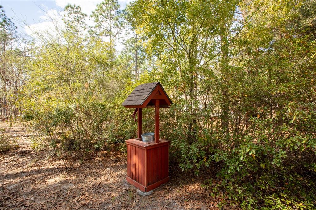 110 Hill Top Loop Hawthorne, FL 32640 - Photo 39 of 52