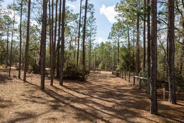 $310,000 | 110 Hill Top Loop, Hawthorne, FL 32640