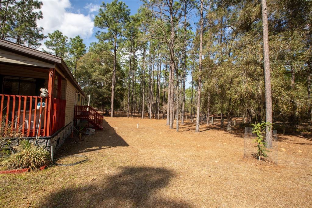 110 Hill Top Loop Hawthorne, FL 32640 - Photo 46 of 52