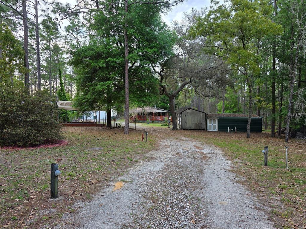 110 Hill Top Loop Hawthorne, FL 32640 - Photo 5 of 52 a view of a tiny house with a yard and a large tree
