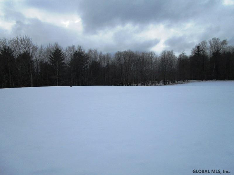 522 Peraglie Road Jefferson, NY 12093 - Photo 21 of 31 Photo 21