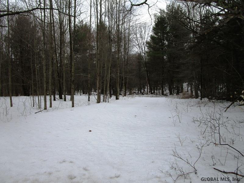 522 Peraglie Road Jefferson, NY 12093 - Photo 8 of 31 Photo 8