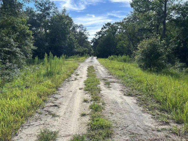 a view of a pathway with a yard