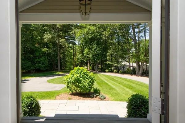 a view of a yard