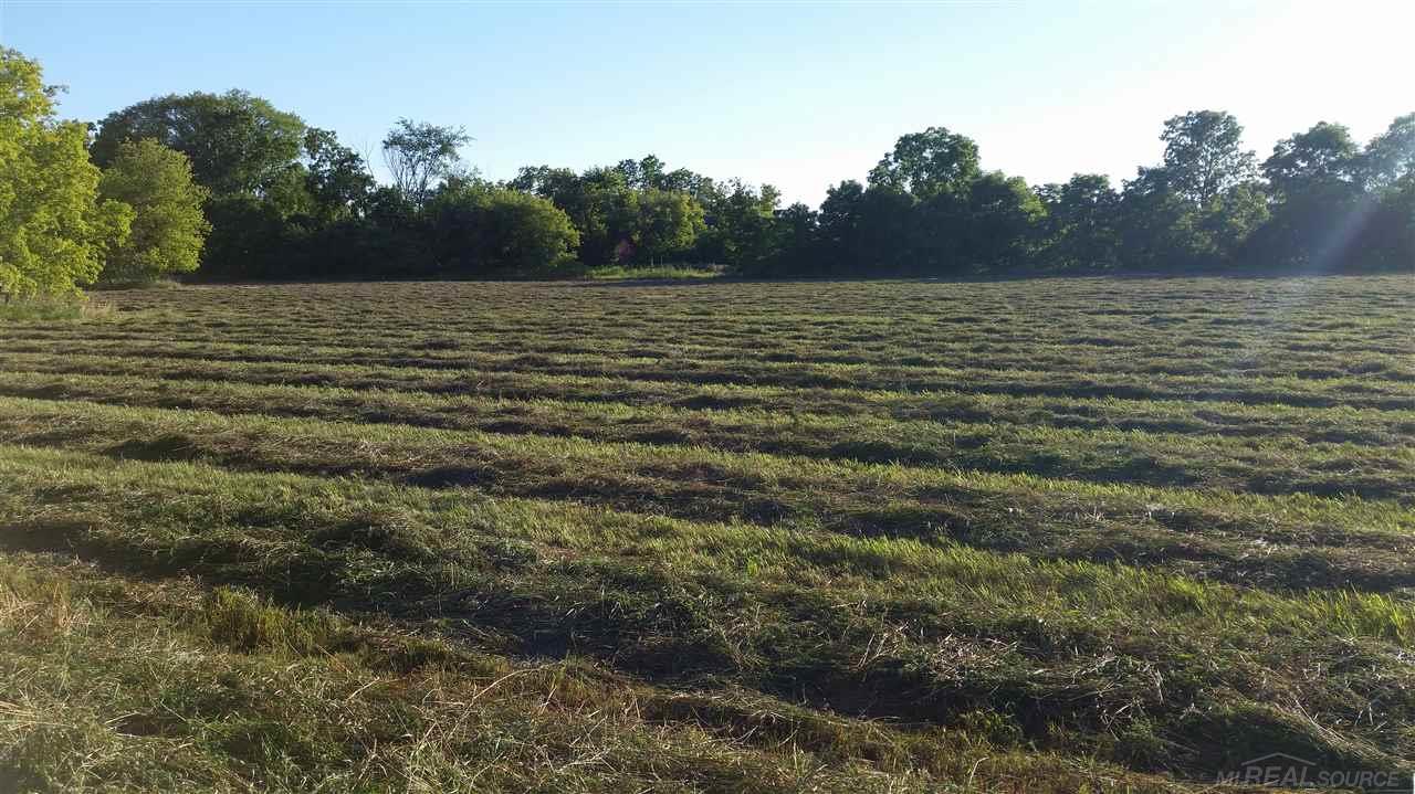 57155 Omo Road Ray, MI 48096 - Photo 25 of 27