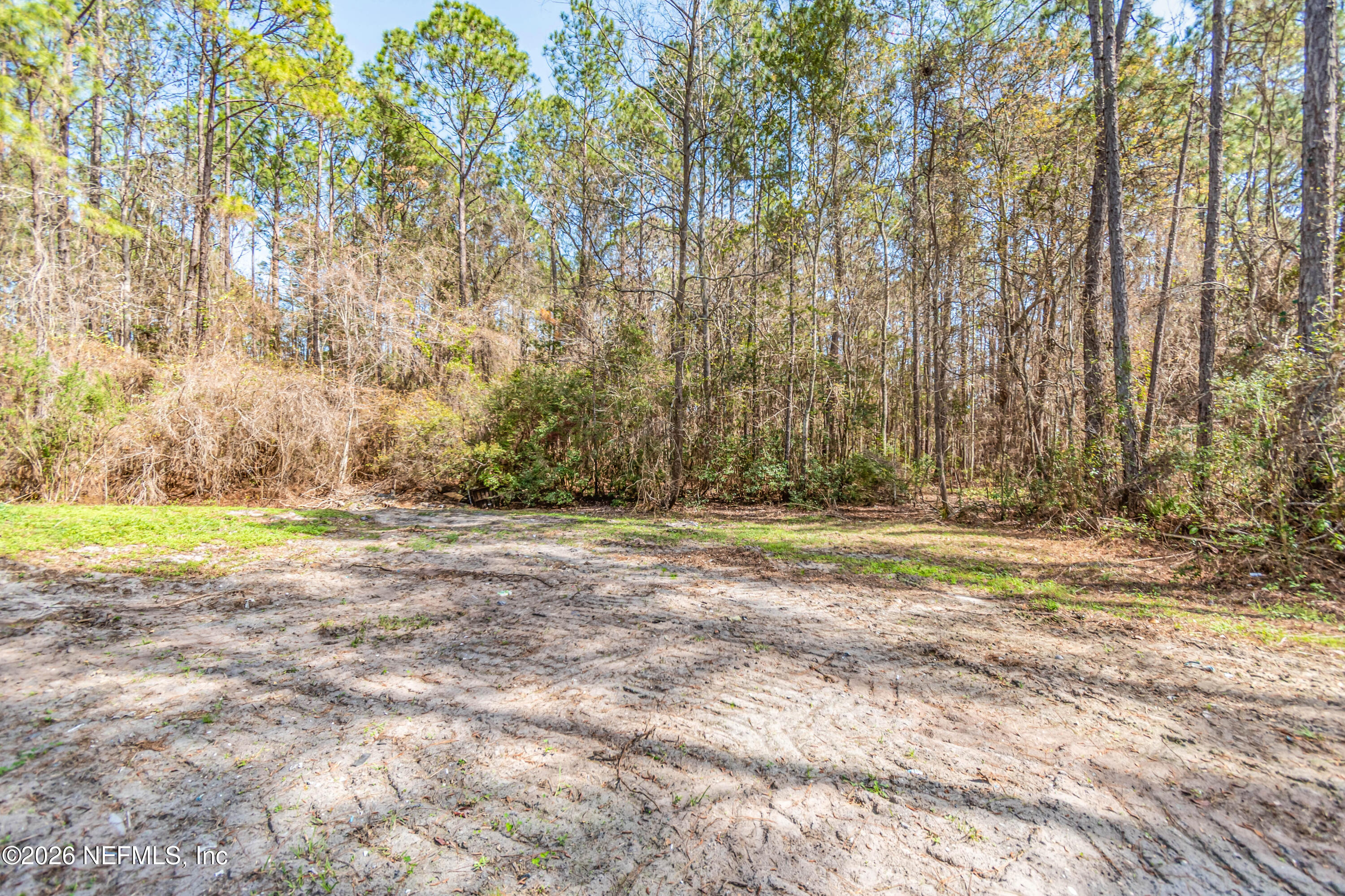 11017 County Road 229 Sanderson, FL 32087 - Photo 31 of 33 a view of a yard with a trees