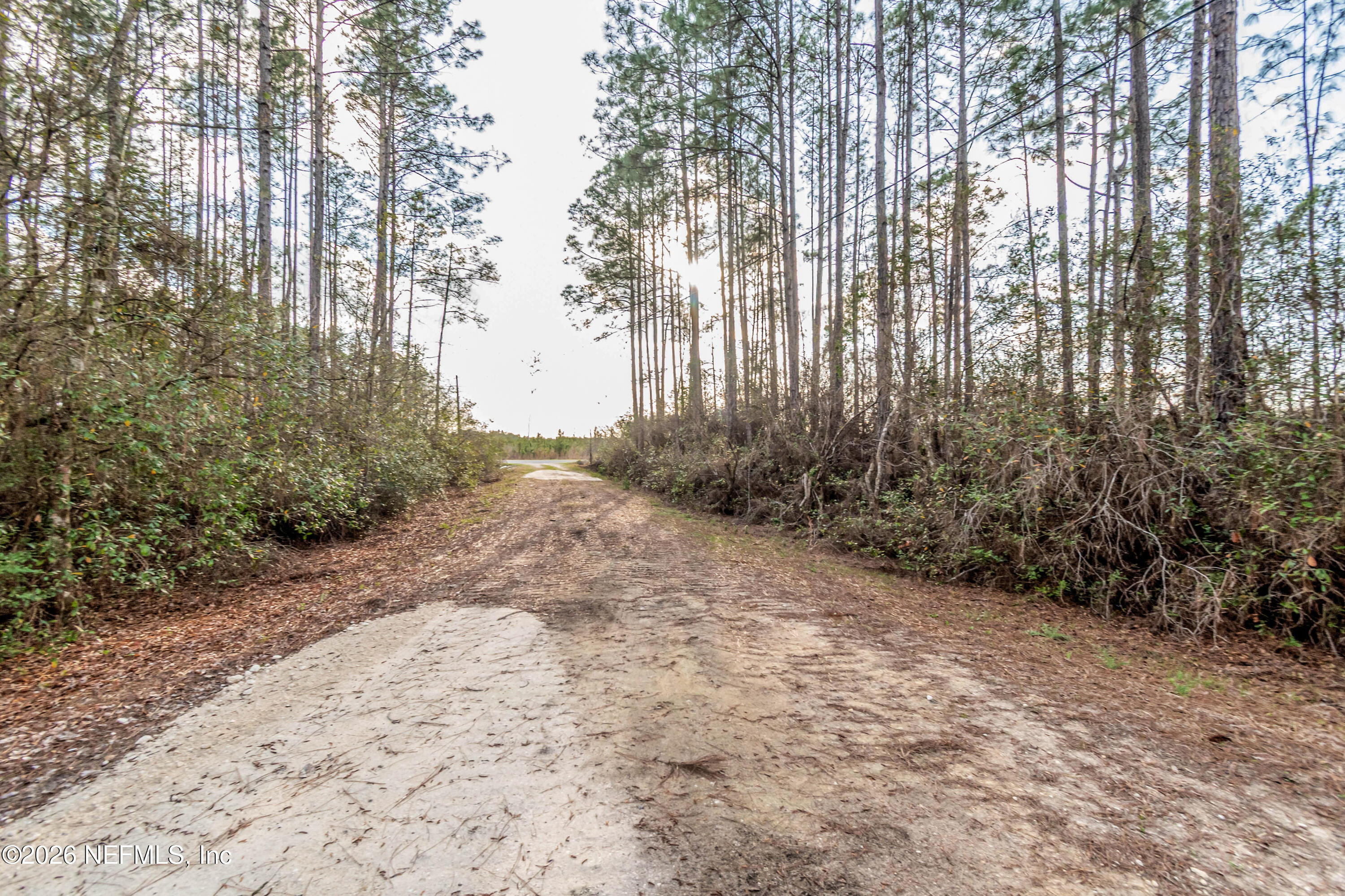 11017 County Road 229 Sanderson, FL 32087 - Photo 32 of 33