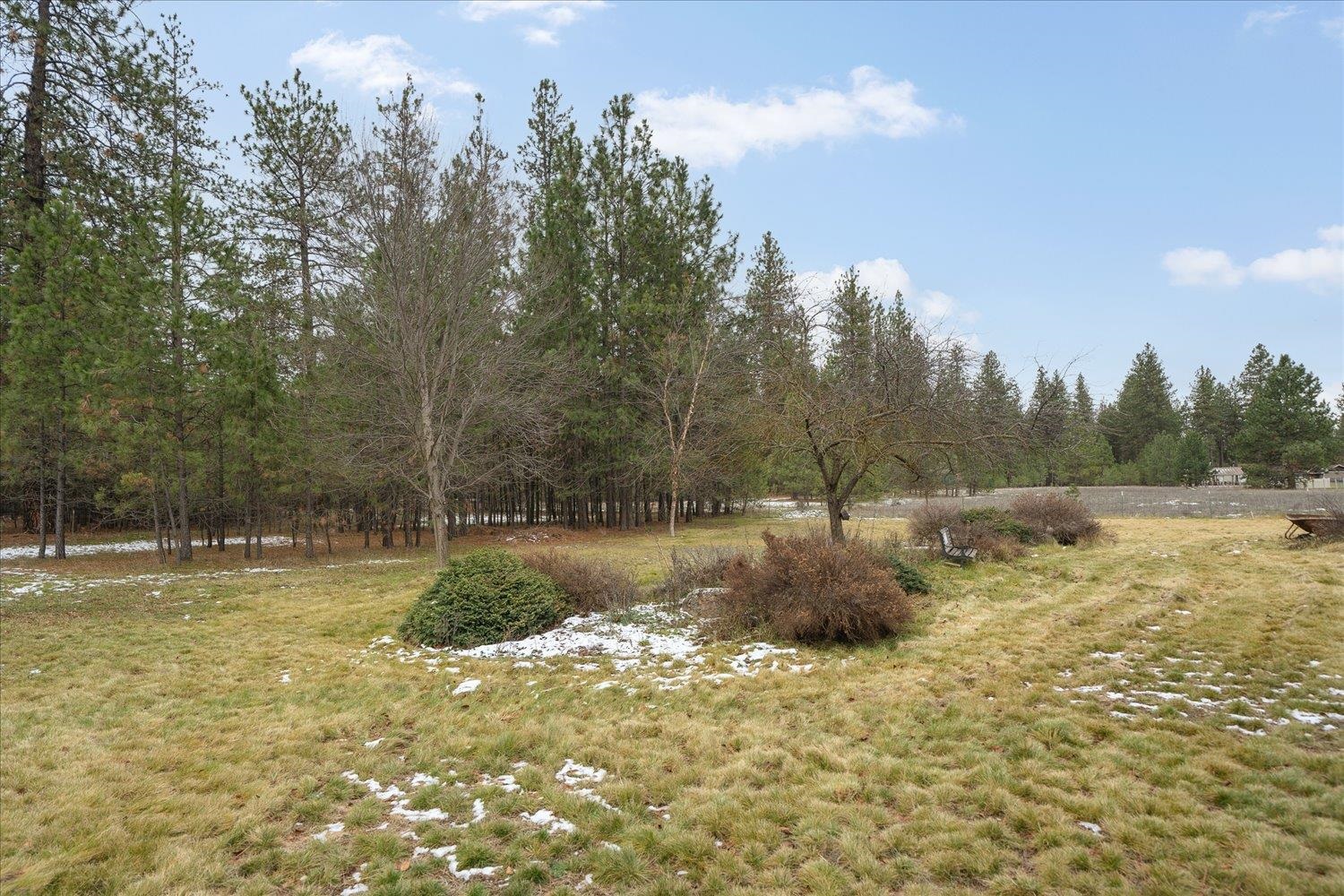 3728 East Colbert Road Colbert, WA 99005 - Photo 39 of 49