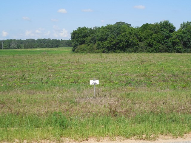 1-acre Christmas Road Ashford, AL 36312 - Photo 1 of 1