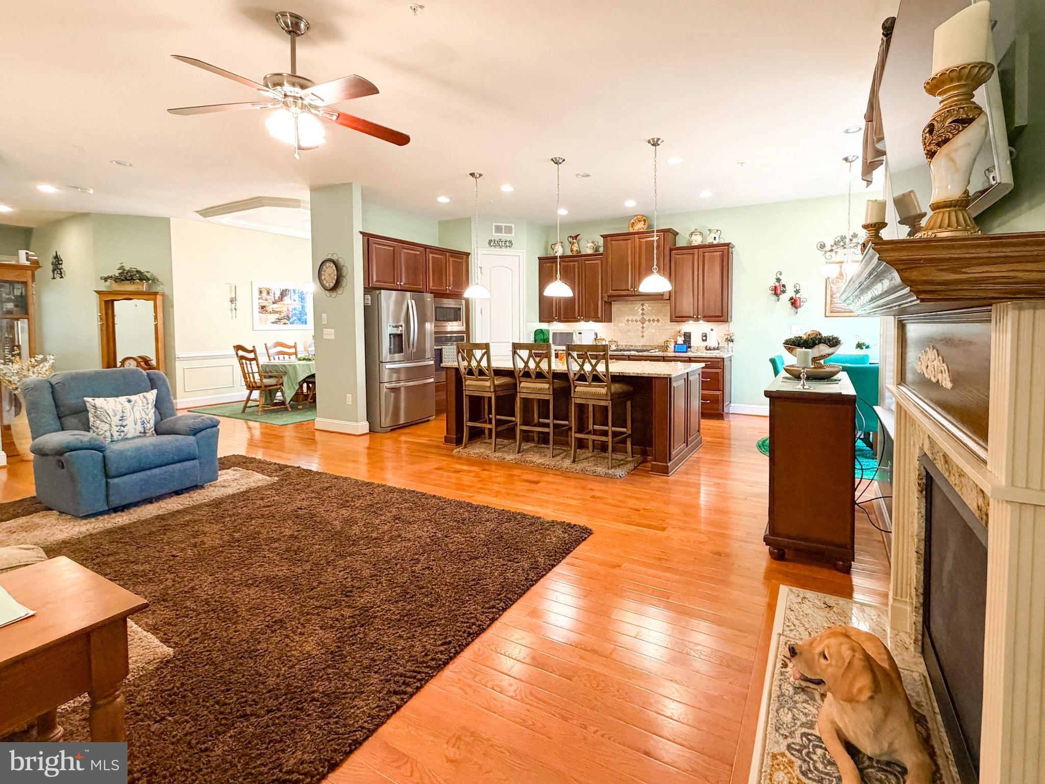 1339 Chicory Way Odenton, MD 21113 - Photo 13 of 44 Living room (2)