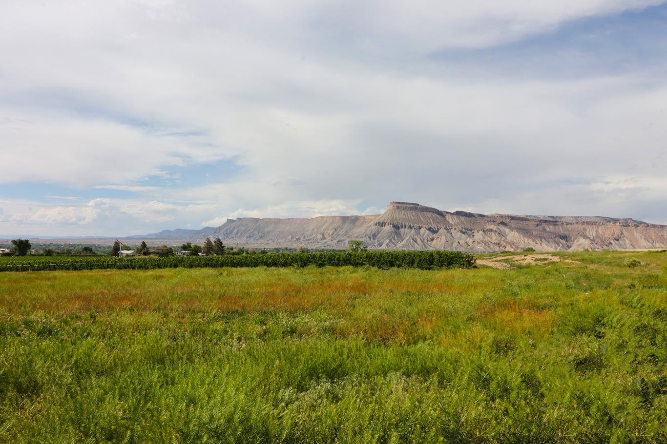 412 35 Road Palisade, CO 81526 - Photo 28 of 39 a view of an ocean