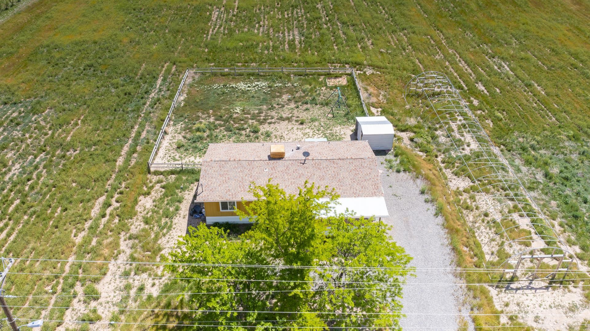 412 35 Road Palisade, CO 81526 - Photo 39 of 39 a view of a yard with plants and large trees