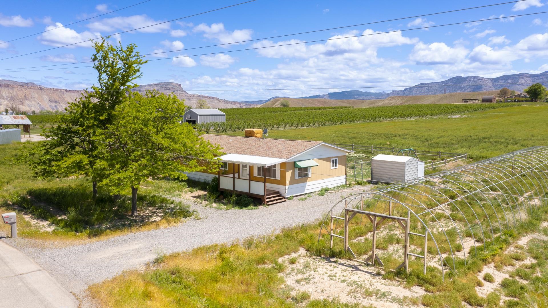 412 35 Road Palisade, CO 81526 - Photo 8 of 39 a view of a house with a yard