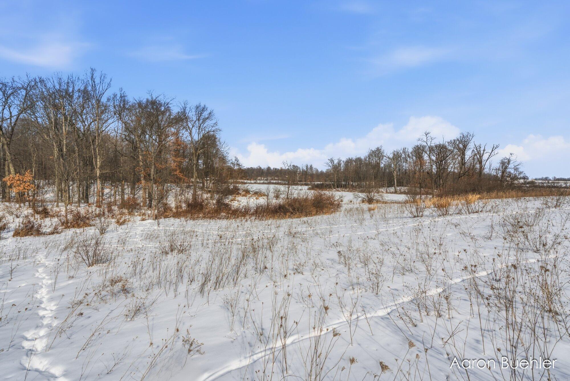 0000 Cooper Road Dowling, MI 49050 - Photo 13 of 31 10-WMVLCooper-23