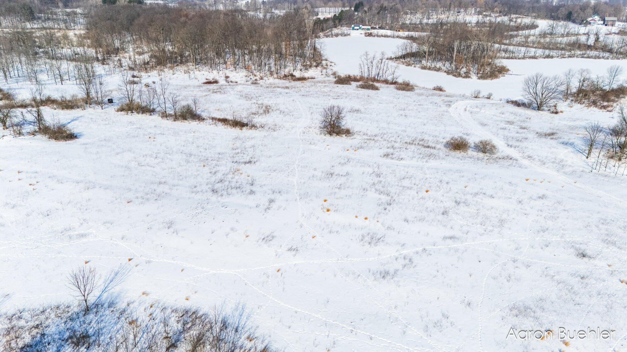 0000 Cooper Road Dowling, MI 49050 - Photo 17 of 31 15-WMVLCooper-3