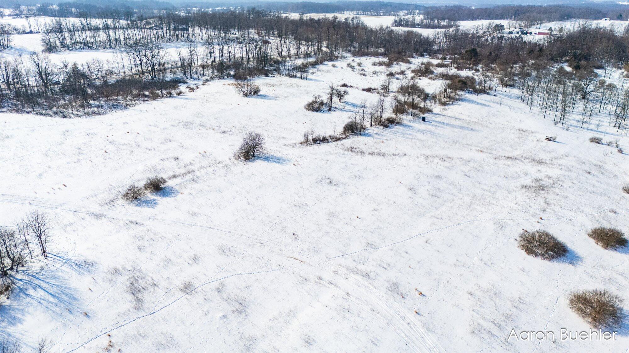 0000 Cooper Road Dowling, MI 49050 - Photo 18 of 31 17-WMVLCooper-12