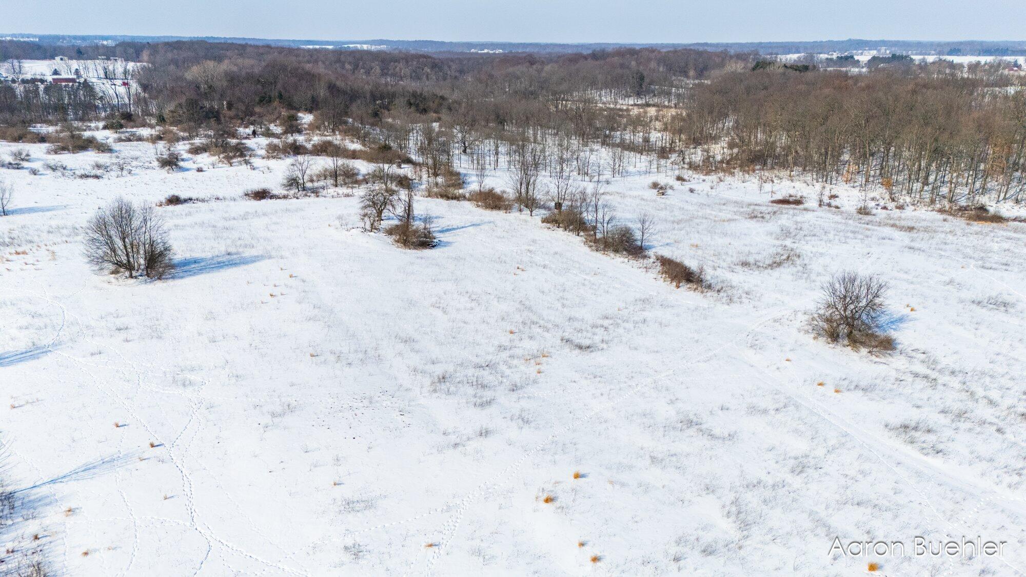 0000 Cooper Road Dowling, MI 49050 - Photo 19 of 31 18-WMVLCooper-13