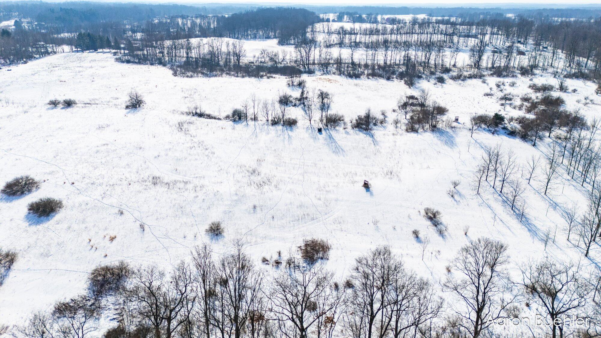 0000 Cooper Road Dowling, MI 49050 - Photo 6 of 31 04-WMVLCooper-5